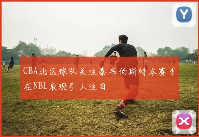 CBA北区球队关注泰韦伯斯特本赛季在NBL表现引人注目
