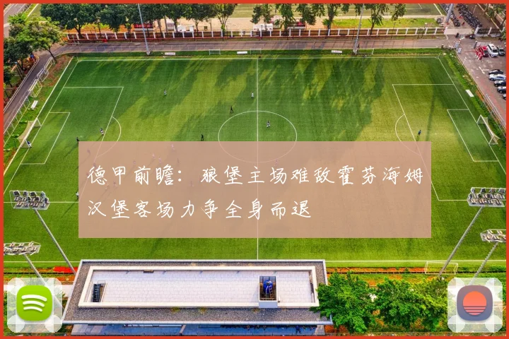 德甲前瞻：狼堡主场难敌霍芬海姆汉堡客场力争全身而退